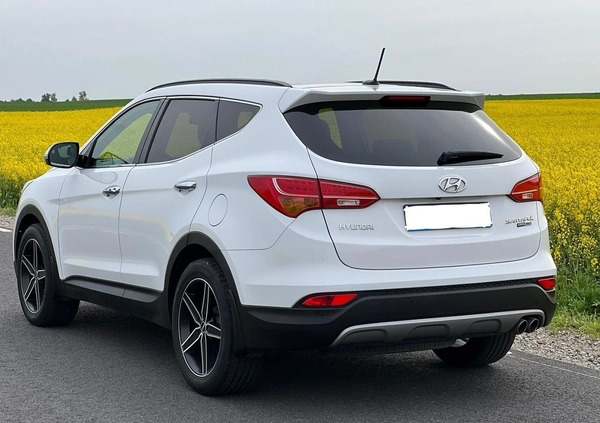 Hyundai Santa Fe cena 80800 przebieg: 219000, rok produkcji 2015 z Toruń małe 106